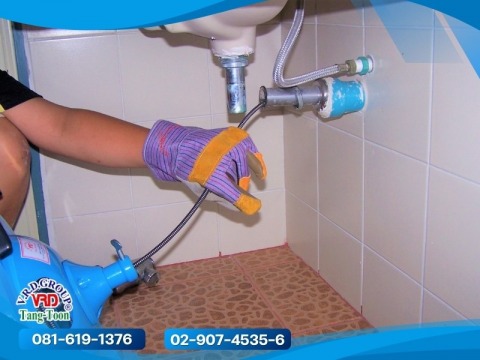 ช่างงูเหล็กใกล้ฉัน